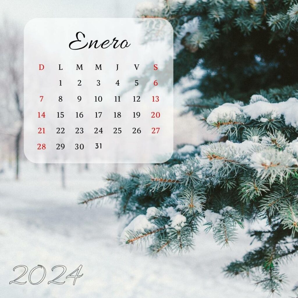 Enero 2024